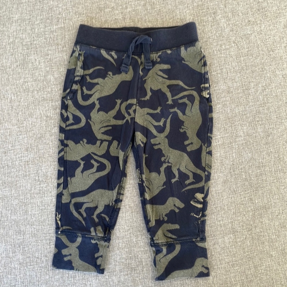 Dinosaur Jogger’s